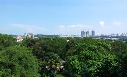 The Arcadia (D11), Condominium #138962322